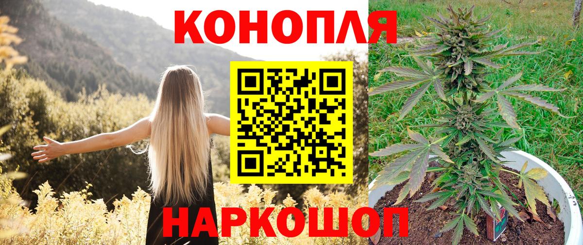 Канабис Малоярославец